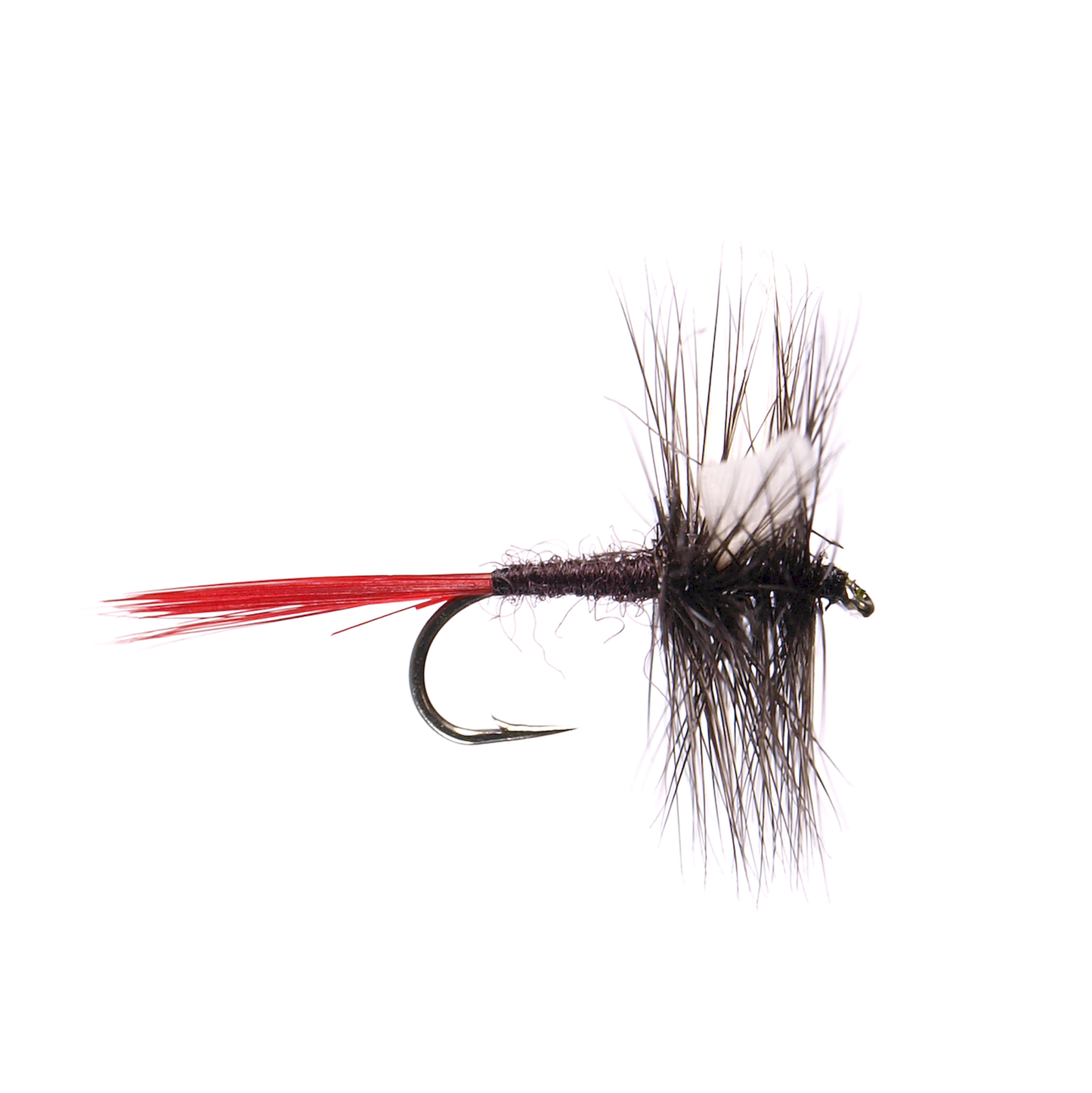 Black Gnat - Red Tail