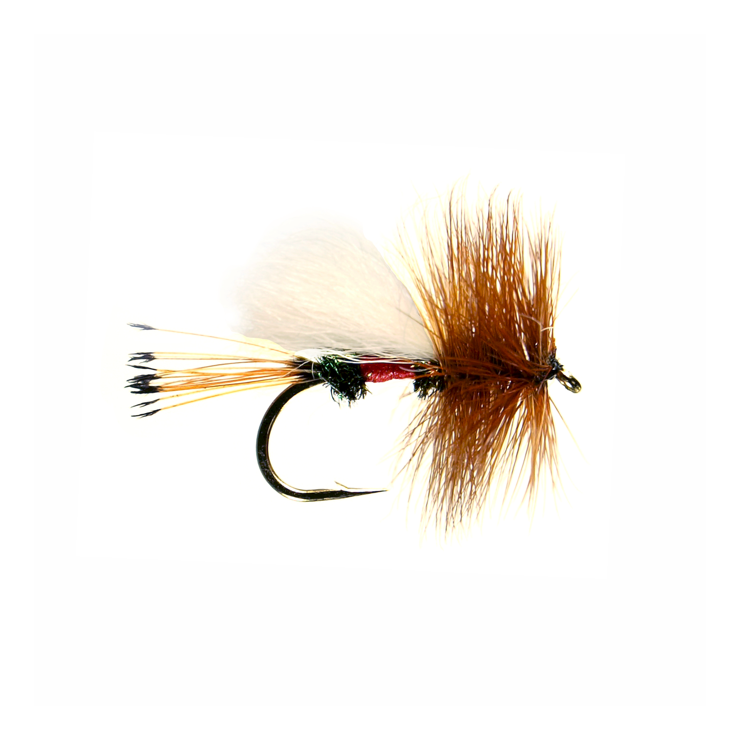 Royal Coachman Trude