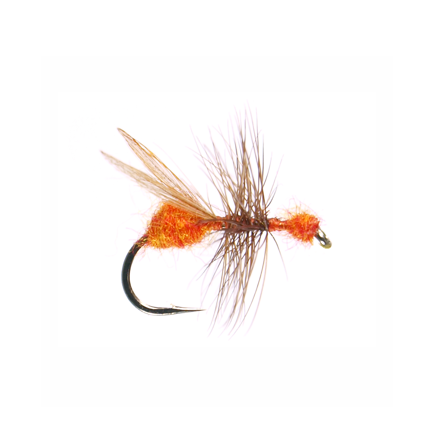 Cinnamon Flying Ant