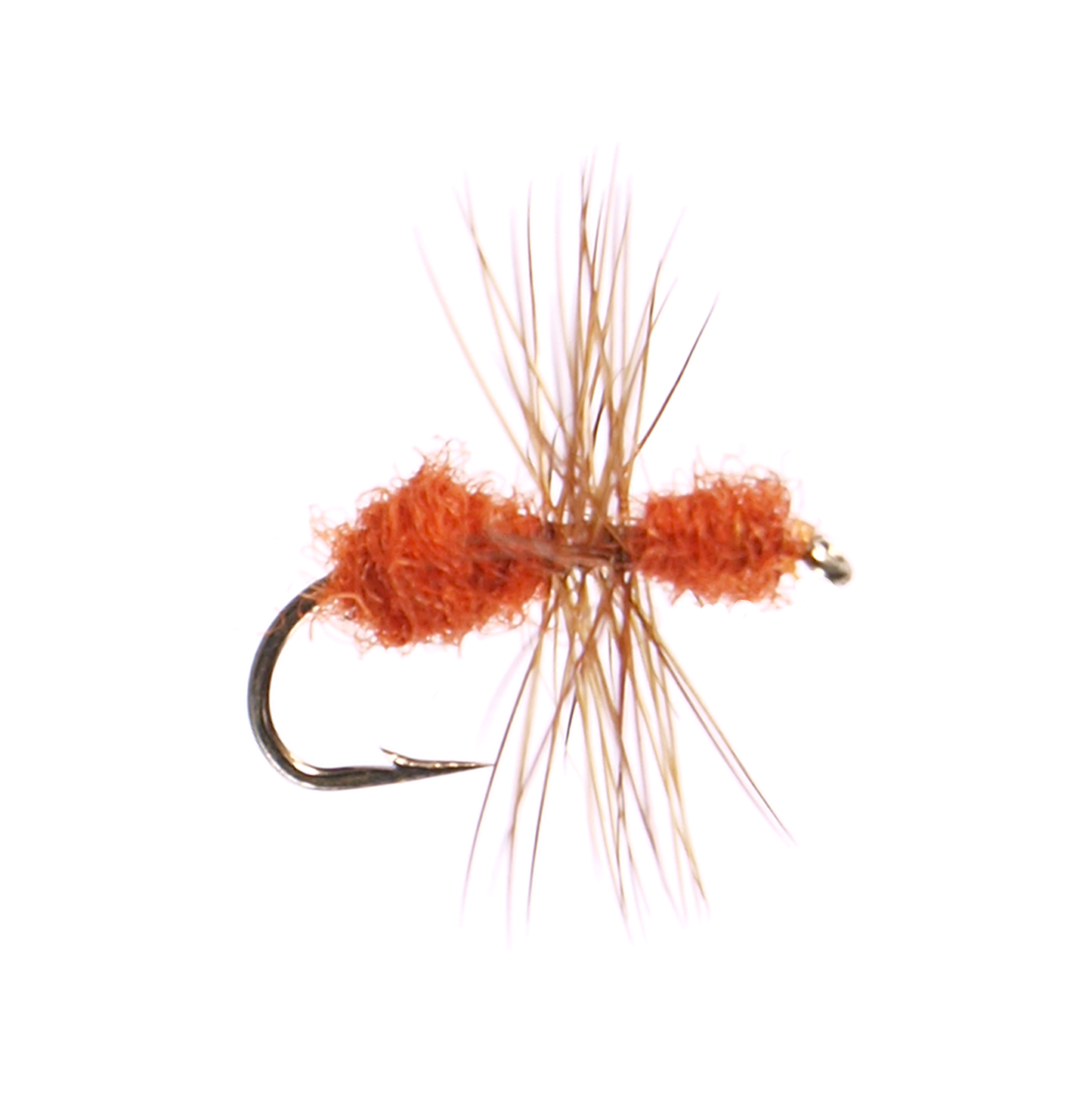 Cinnamon Fur Ant