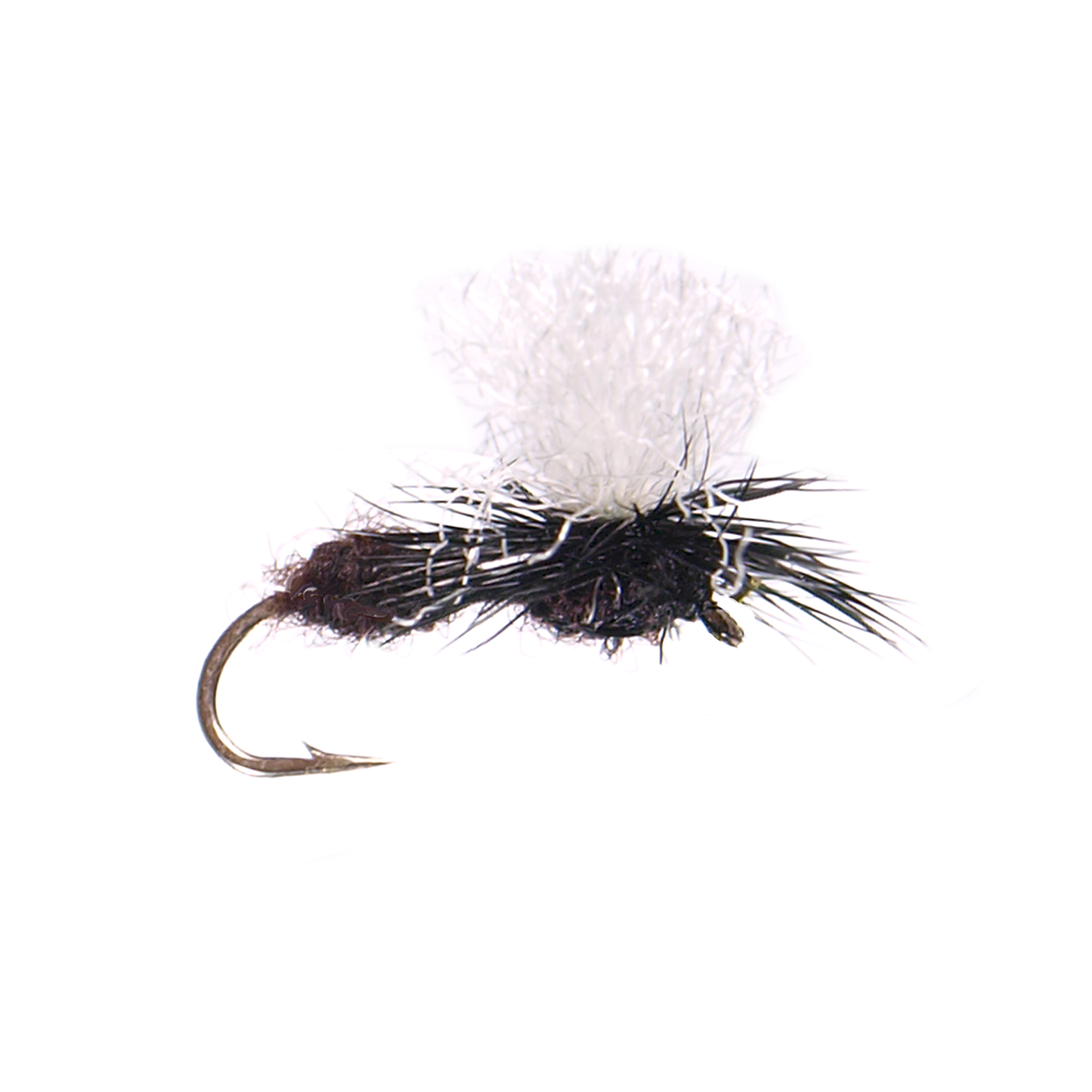 Parachute Ant