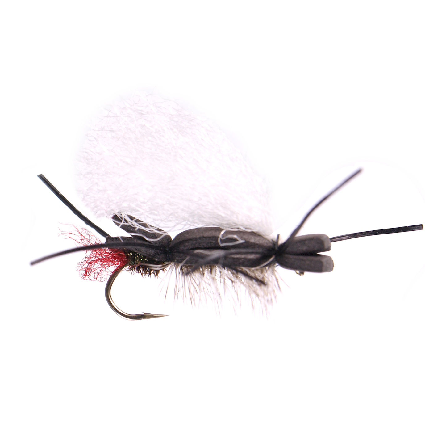 Willy's Ant - Black Emerald