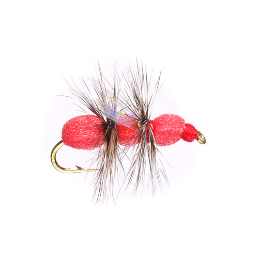 Preseason 2026 Gard's Fat Bubba