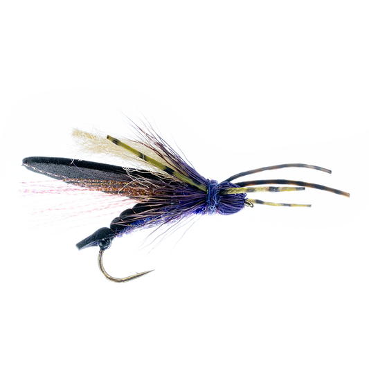 Preseason 2026 KB's ODB Stone