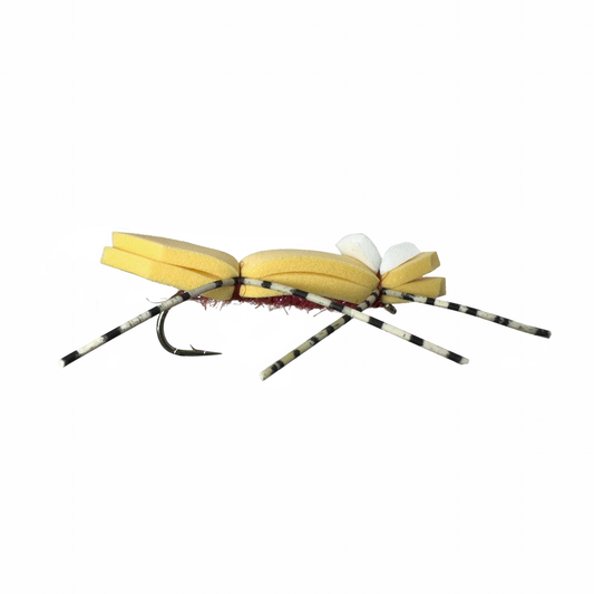 Preseason 2026 Dornan's Circus Peanut