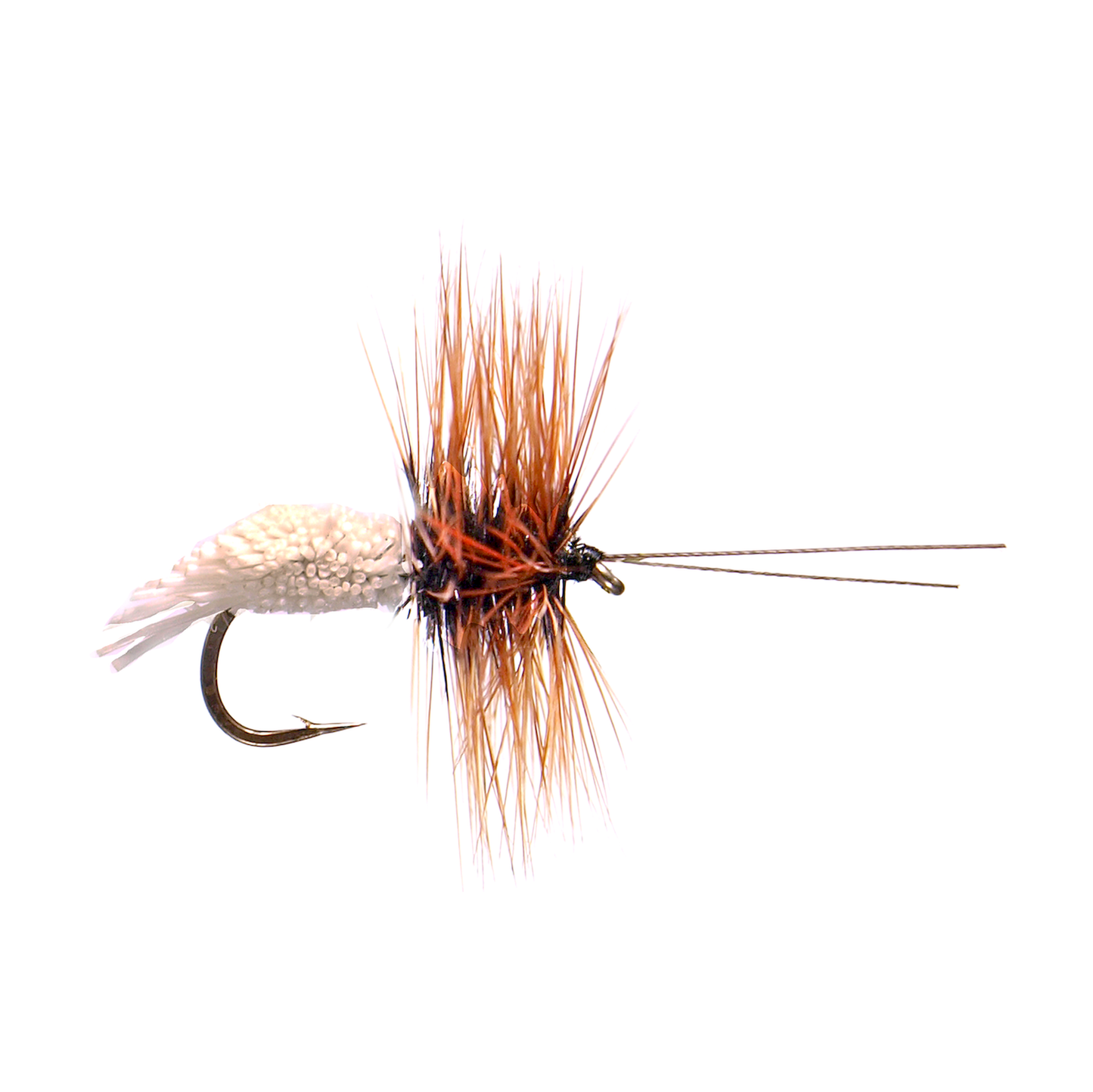 Goddard Caddis