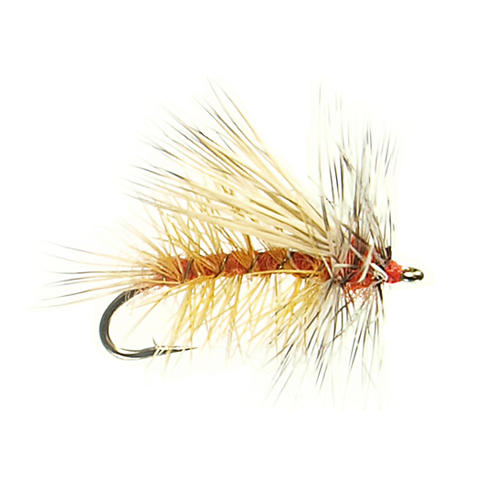 Preseason 2026 Stimulator