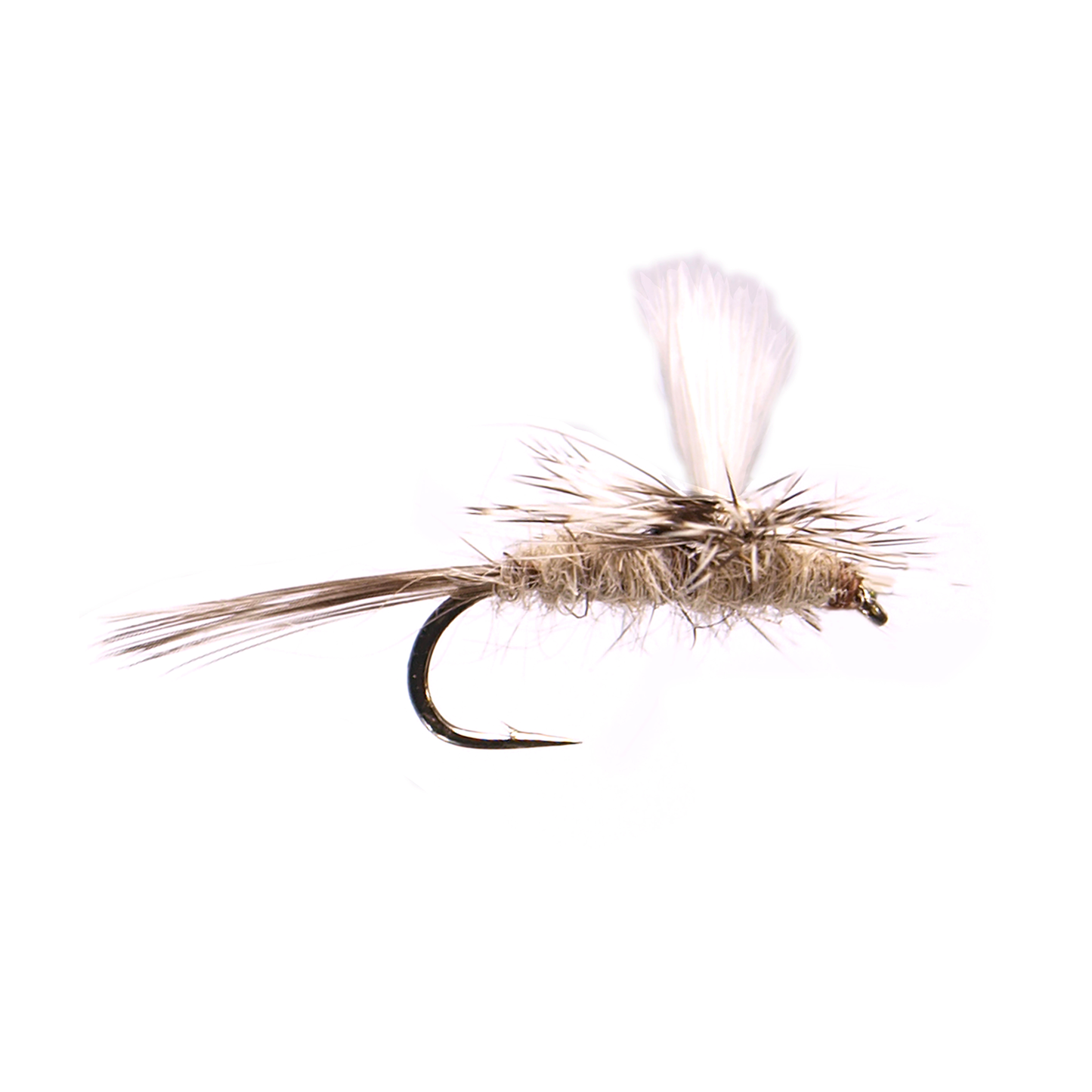 Parachute Hare's Ear
