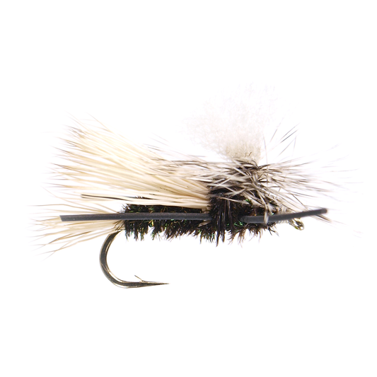 Preseason 2026 Parachute Madam X