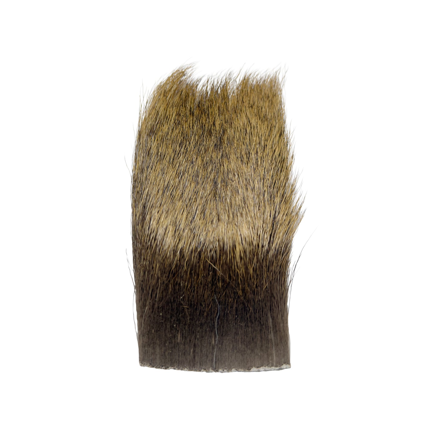 Elk Hair