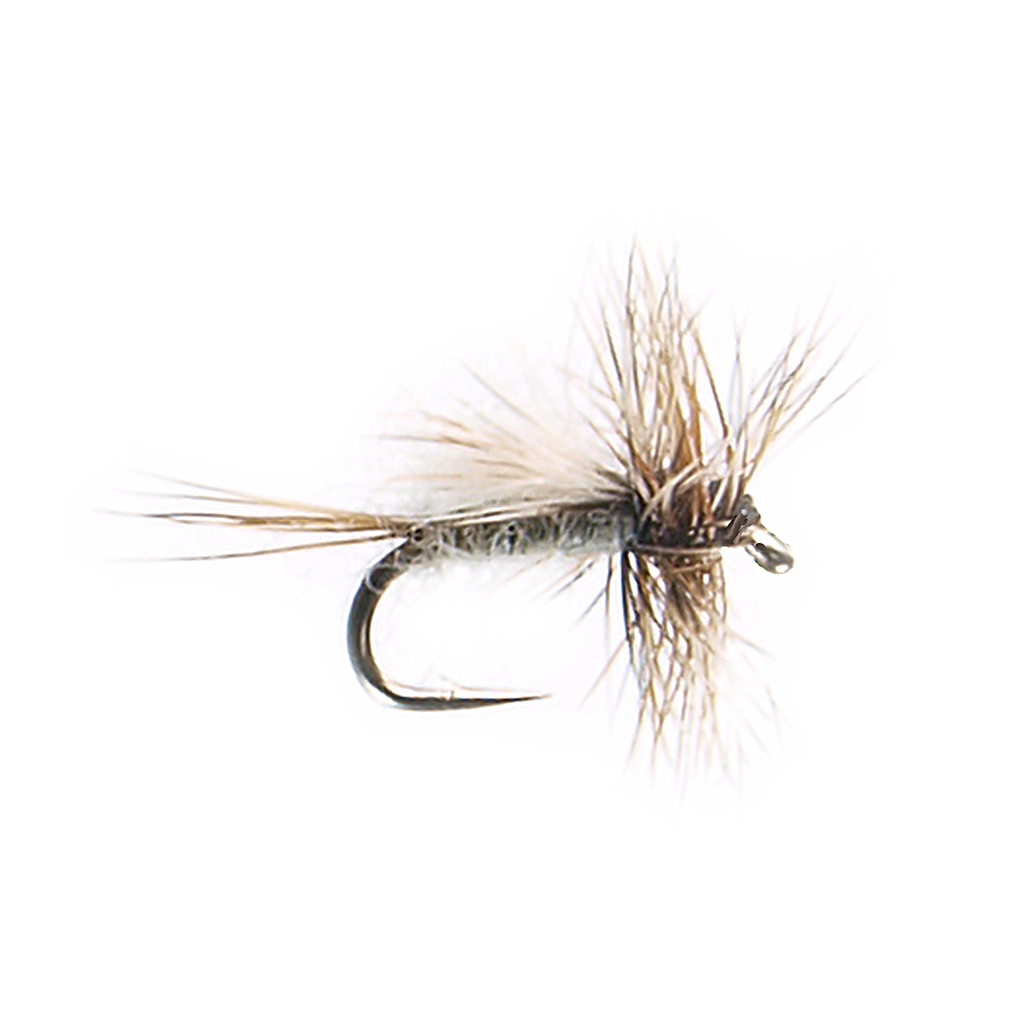CDC Adams Trude