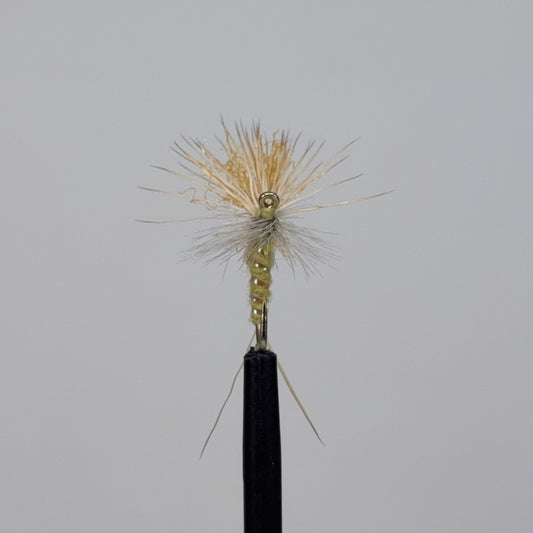 Preseason 2026 YFG's Hi Vis PMD