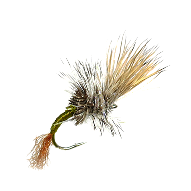 YFG's Rough Neck Emerger - Green Drake