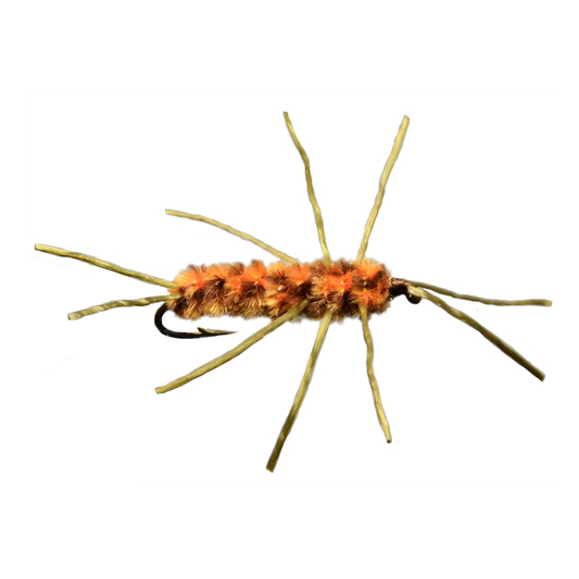 Preseason 2026 Pat's Stone