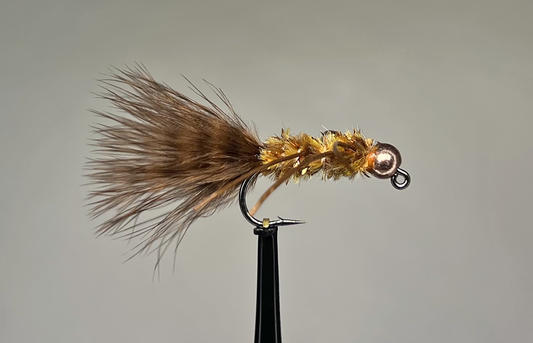 Preseason 2026 TJ Hooker