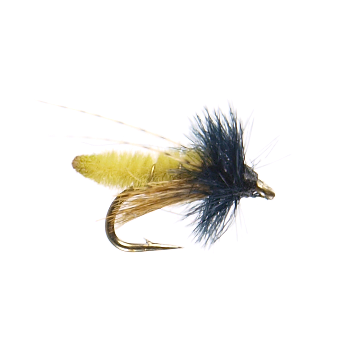 Caddis Pupa - Olive