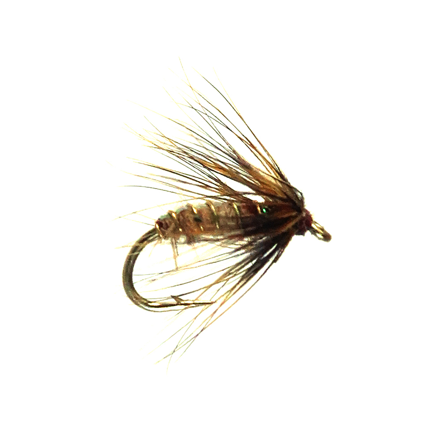 Soft Hackle Caddis - Tan