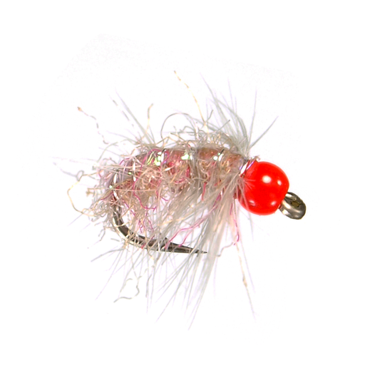 Preseason 2026 Cavier Scuds