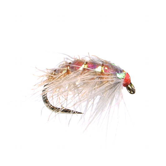 Preseason 2026 Soft Hackle Scud