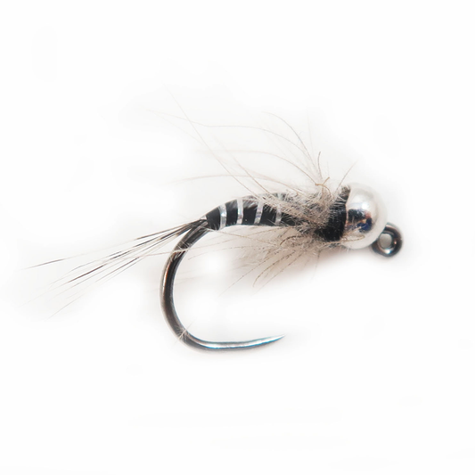 Preseason 2026 YFG's Energizer