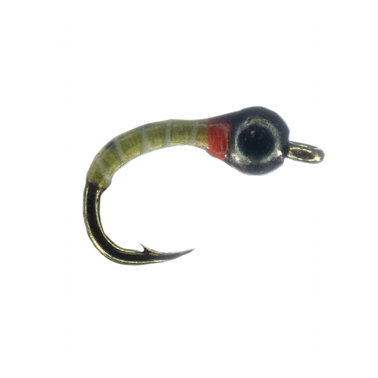 Preseason 2026 YFG's El Tigre