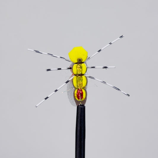 Preseason 2026 Wendling's Campsite Sally