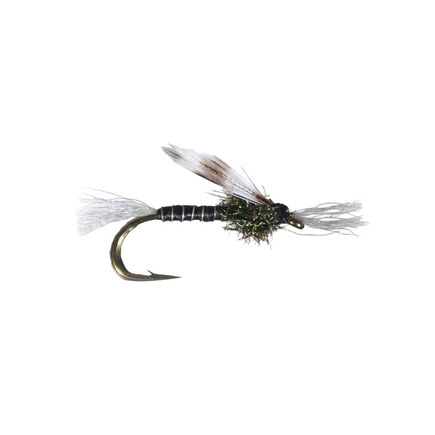 Chironomid Pupa - Black #12