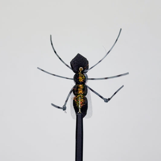 Preseason 2026 Wendling's Tinkerbell