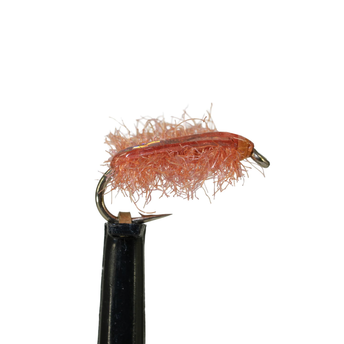 Poxyback Sowbug - Watermelon