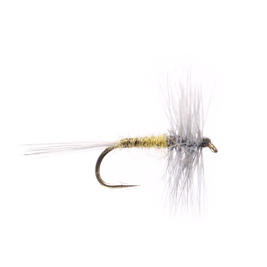 Blue Wing Olive