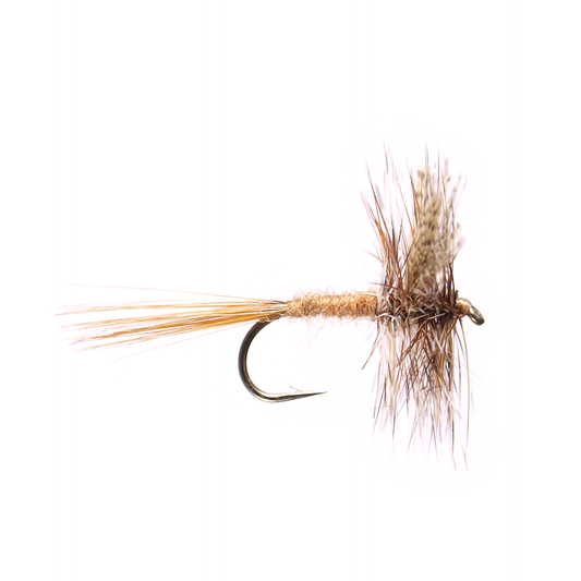 March Brown