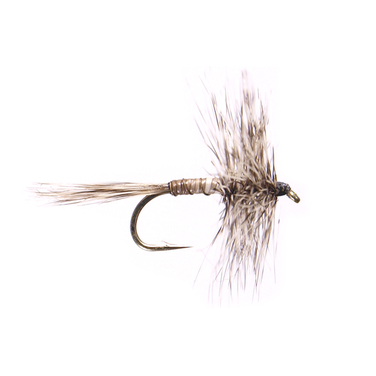 Mosquito
