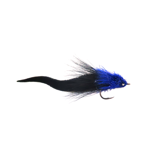 Ninch's Dragon Tongue (1/2 dz) - Black & Blue #3/0