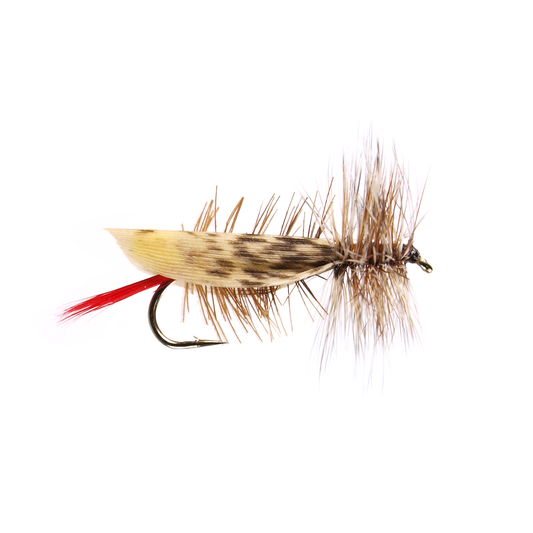 Joe's Hopper