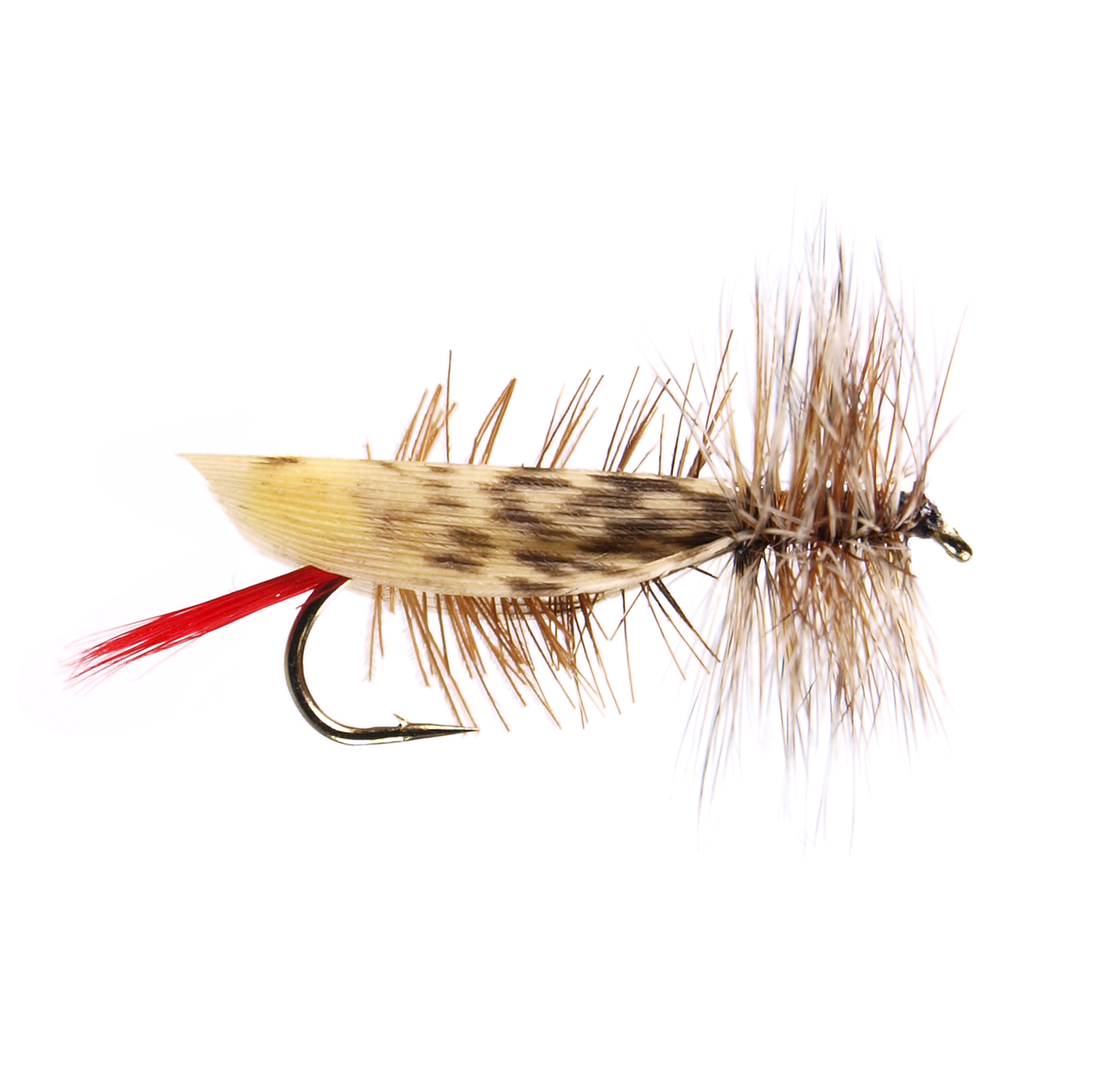 Joe's Hopper