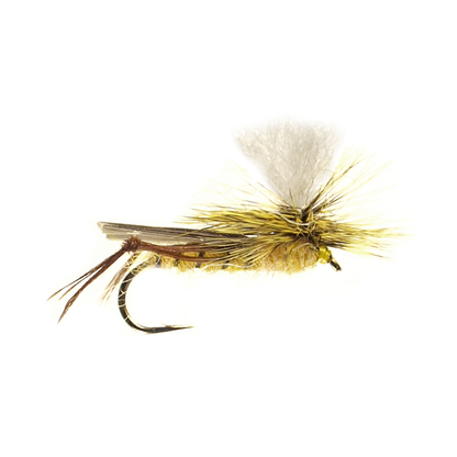 Parachute Hopper