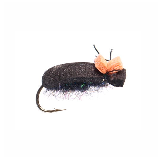 Black Foam Beetle