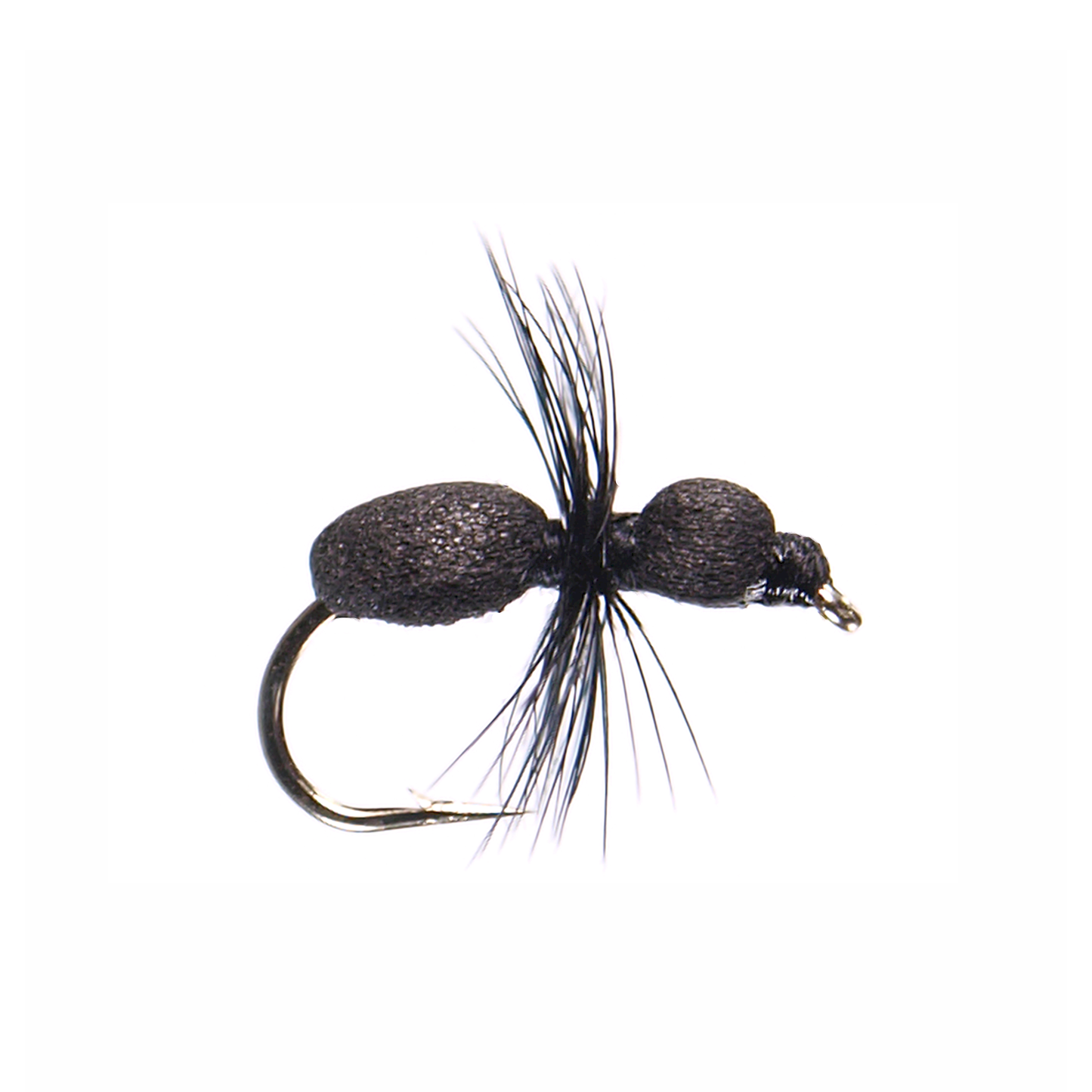 Black Foam Ant