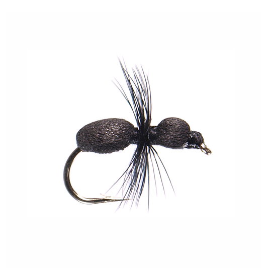 Black Foam Ant