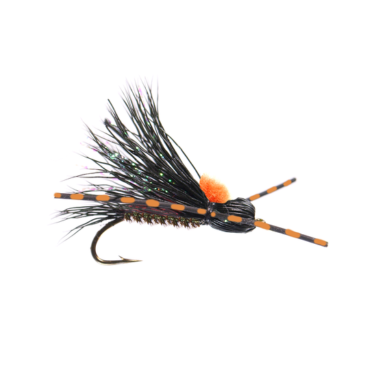Bullethead Cicada
