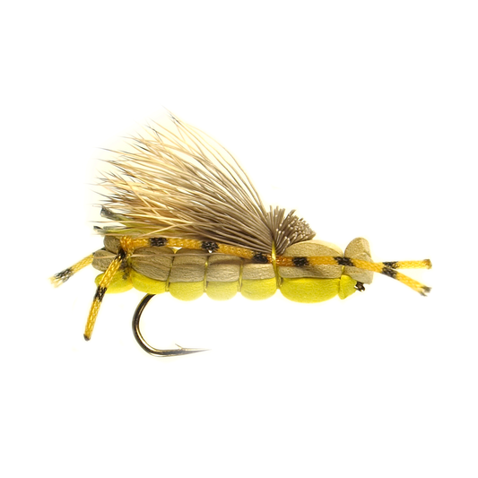 Hybrid Hopper