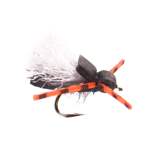 Preseason 2026 Super Beetle