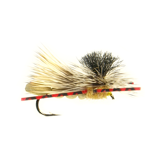 Otter Hopper - Red Leg