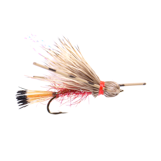 Preseason 2026 Wade's Ho Candy