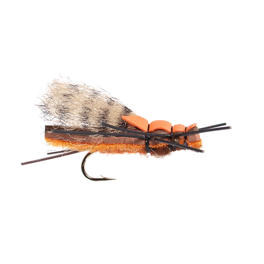 Franken' Salmon