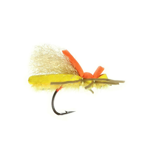 Micro Frank Sally