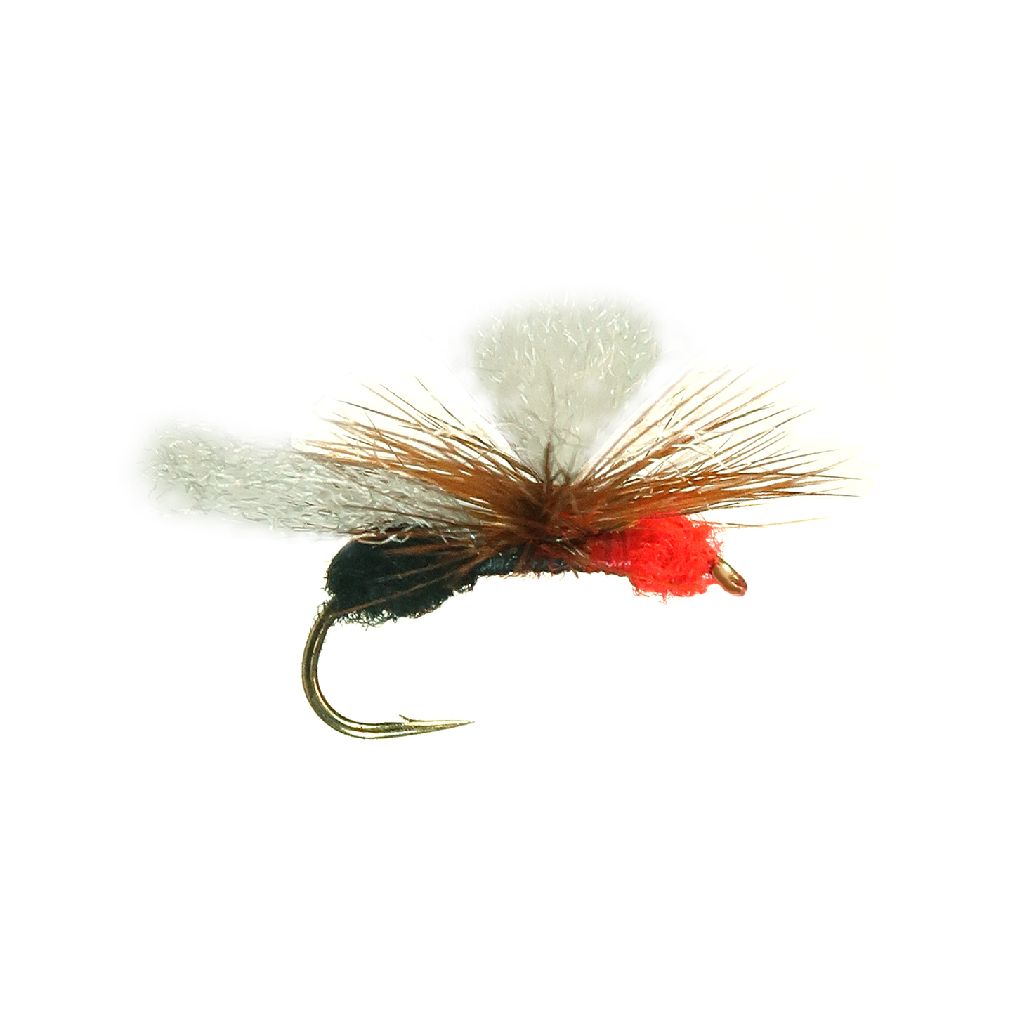 Bloom's Stealth Ant