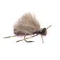 Ninch's Peanut - Purple