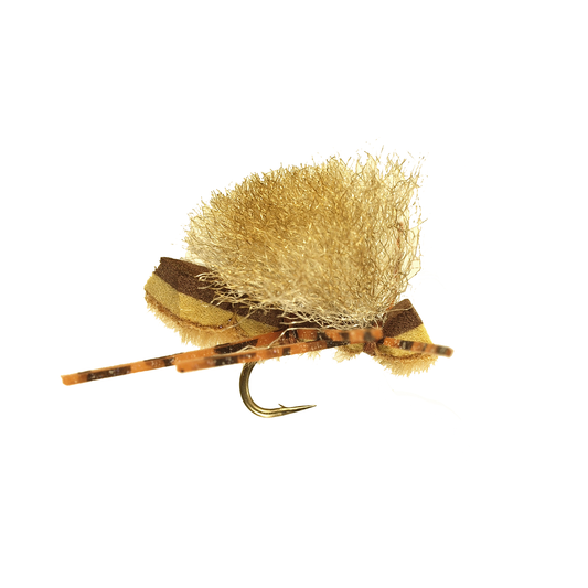 Ninch's Peanut - Gold