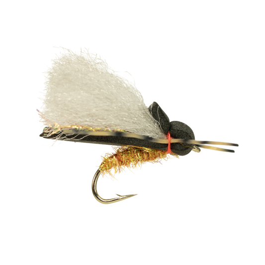 YFG's Super Cicada